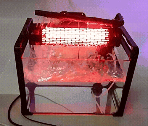 4120901a152d108a61b74975f57b301e_1758698282_743.gif